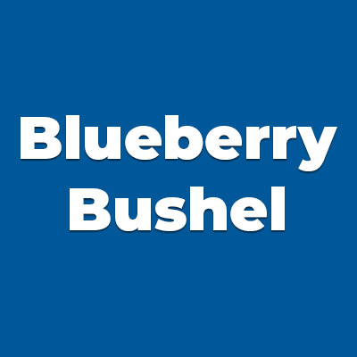 Colors BLUEBERRY BUSHEL